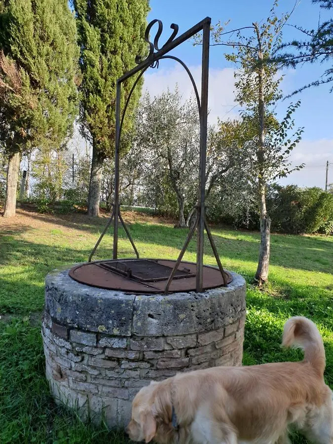Podere Il Poggio Villa Asciano